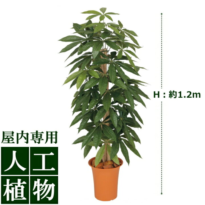 楽天市場】/人工植物/グリーンデコ パキラ 1.2m/送料無料 : DEPOS 2号館