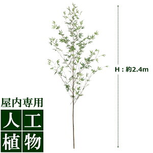 /lHA/O[fR@u|iӂj@2.4m