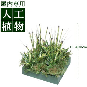 /lHA/O[fR@RZbg@Cqo@30cm