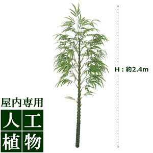 /lHA/O[fR@啟|iӂj@2.4mWCg