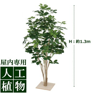 /lHA/O[fR@VFtt@1.3m/