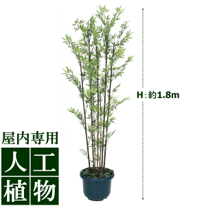 /lHA/O[fR@|7{@1.8mitj@/