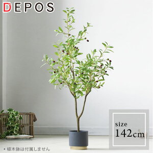 tFCNO[ ^  ϗtA tFCN i` A S ȒP I[u 142cm y^zցz Olive tree hnw1