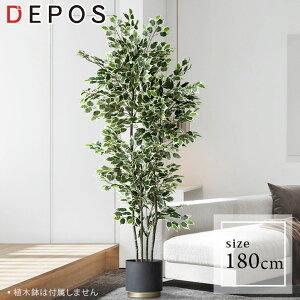 tFCNO[ ^  ϗtA i` A ȒP tBJXEnCA 180cm Banyan tree y^zցzhnw1