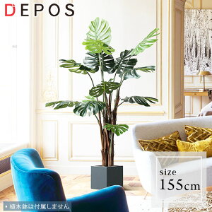 tFCNO[ ^  ϗtA tFCN O[ i` A Xe 155cm Monstera tree y^zցzhnw1