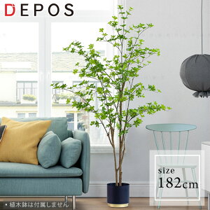 tFCNO[ ^  ϗtA tFCN A    O[ i` A ȒP hE_ccW 182cm Bell tree y^zցz