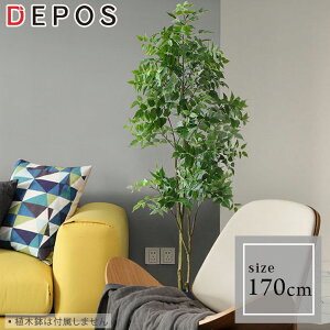 tFCNO[ ^  ϗtA tFCN A    ItBX O[ xW~ 170cm Benjamin y^zցz