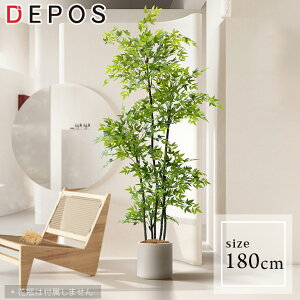 tFCNO[ ^  ϗtA tFCN A O[ i` A S ȒP ie nandina y^zցzhnw1