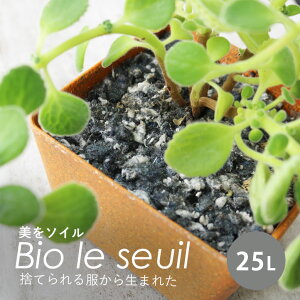 K[fjO |{y ƒ؉ ͔| | \C Bio le seuil 25Ly[J[/Esz   GR SDGs TXeBiu hnw1