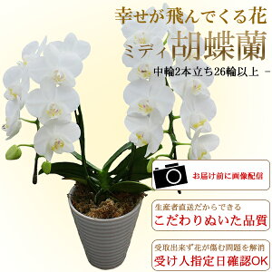 jEMtgEv[g/~fBӒ  2{E26ֈȏ(ڂ݊܂)/s//a j LO oYj JX j zj  w ̓ h