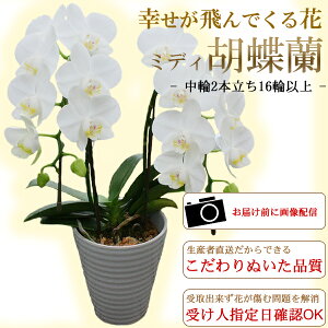 jEMtgEv[g/~fBӒ  2{E16ֈȏ(ڂ݊܂)/s//a j LO oYj JX j zj  w ̓ h