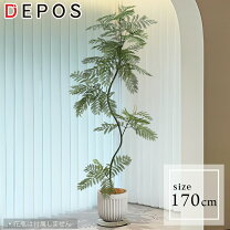 楽天市場】フェイクグリーン 170cmの通販 送料込み 観葉植物 フェイクグリーン 高さ約170cm 白鉢付き 直接手渡し可
