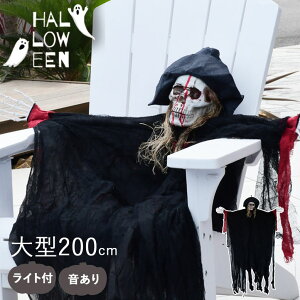 nEB  O hA A [ ObY    ݂艺 Cxg AEghA ^ 2m I[o[TCY XPg nMOO[S[Xg 200cm ASLX-08820