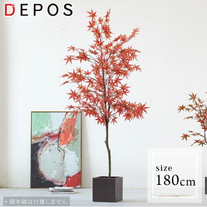 tFCNO[ ^  ϗtA tFCN A     A S ȒP Cn~W 180cm y^zցz