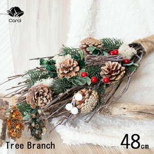 NX}X XbO CeA Ǌ| Ǐ  k kCeA  NX}Xv[g  X  fBXvC u`c[ LTCY 48cm