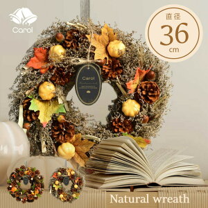 VRf a36cm k  i`   H ~ nEB NX}X Mtg X  L i`[X 36cm 