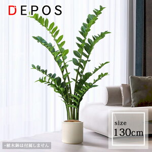 tFCNO[ ^  ϗtA tFCN A  i` U~INJX U~tH[A@130cm y^zցz