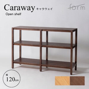 Lrlbg rO [ I ؐ VR uE i` form tH[ LEFC I[vVFt 120cmy[J[ / Esz