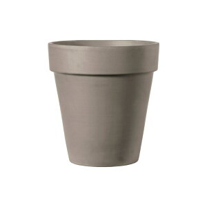 Aؔ fĂ CgO[ 10   v^[ g[ C^A K[fjO  ϗt T{e 񂹐A DEROMA f} g[|bg 30.5×33.5cm 󂯎MtysE