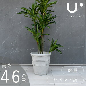 Aؔ y   p Op 15 RN[g ی^ O[ classy pot NbV[|bg _ Eh 46cm
