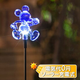 楽天市場 ソーラーイルミネーション ディズニー ライトの通販