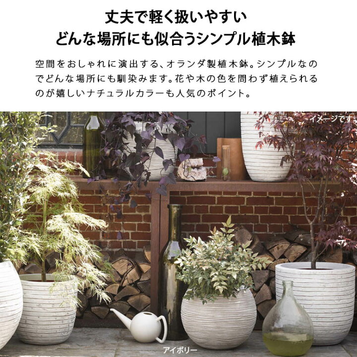 楽天市場】植木鉢 capi ベースボールリブ 直径40cm 送料無料 軽量樹脂 