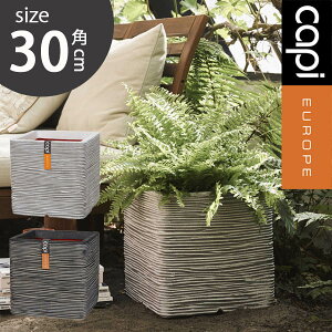 Aؔ Capi L[u|bg u 30cm yʎ ^v^[ p^ ze { OsO X Xg A  Js ubNAC{[