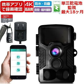 楽天市場 赤外線カメラ アプリ スマートフォンの通販