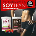 【プロテイン】ソラーチェ代官山監修 SOY LEAN ソイリーンドリンク乳酸菌Plus+ soylean drink プロテインパウダー 粉末状大豆たんぱく含有食品 大豆 ビタミン ミネラル トレーニング 植物性 たんぱく質 グルテンフリー 天然甘味料 砂糖 ダイエット 美肌 低カロリー 筋肉