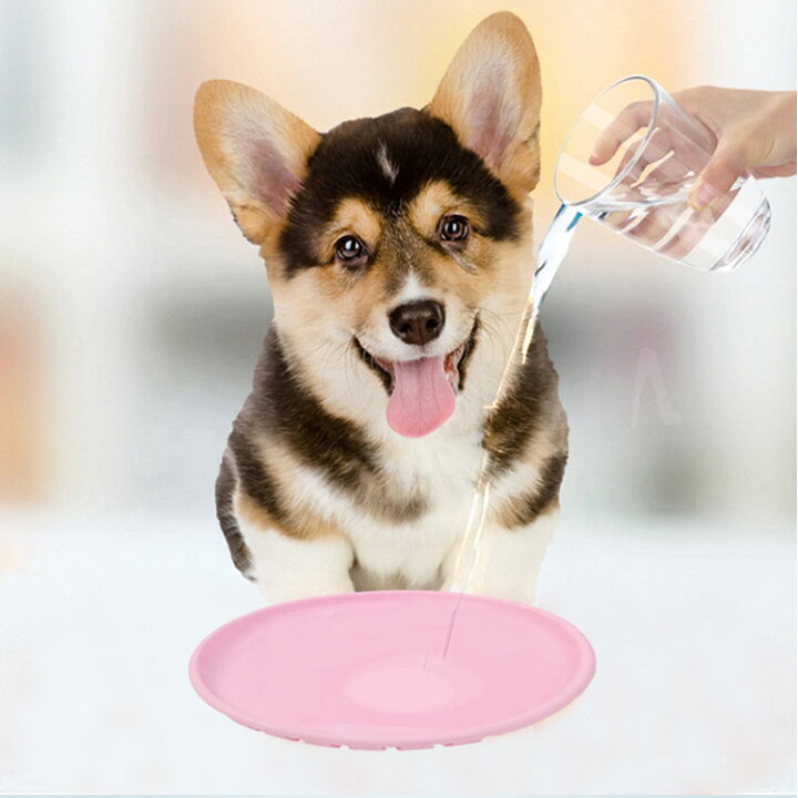 楽天市場 ワンちゃん フリスビー 犬 おもちゃ ペット 柔らかい カラフル 噛むおもちゃ 投げる 円盤 柔らかい 滑り止め 犬 ペット 投げる 円盤 柔らかい 滑り止め 遊び ストレス解消 犬 猫 柴犬 トイプードル チワワ 小型犬 中型犬 大型犬 ｈａｎｙｅ ｍａｒｔ