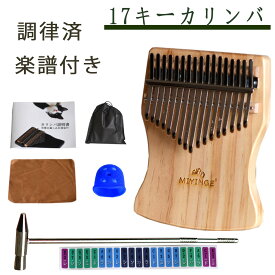 カリンバ 親指ピアノ kalimba 17キー 松材 箱型 楽器 人気 ポーチ付き 初心者向 日本語マニュアル サムピアノ キッズ プレゼント 子供 楽器 天然木製