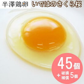 いではのさくら桜 45個（+5個破損補償）箱入り 新鮮 生卵 新鮮卵 卵かけご飯 たまご 桜卵 鶏卵 安心 安全 栄養 ギフト プレゼント 玉子 IP IPハンドリング 純国産鶏種 純国産 高品質 プレミアム 国産卵 産地直送 ブランド お菓子作り