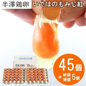 いではのもみじ紅 45個（+5個破損補償）箱入り 新鮮 新鮮卵 生卵 卵かけご飯 たまご 赤玉 高級 濃厚 鶏卵 栄養 ギフト プレゼント 玉子 抗酸化作用 アスタキサンチン 純国産 高品質 プレミアム 国産卵 産地直送 ブランド 産みたて お菓子作り