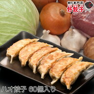 餃子専門店 好餃子 ハオ餃子 冷凍生餃子 60個入り 冷凍餃子 餃子 中華 ぎょうざ ギョウザ ギョーザ 生餃…