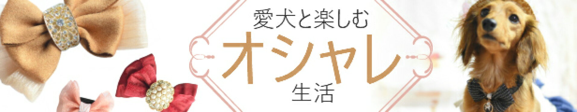 ペットと一緒におしゃれしよう