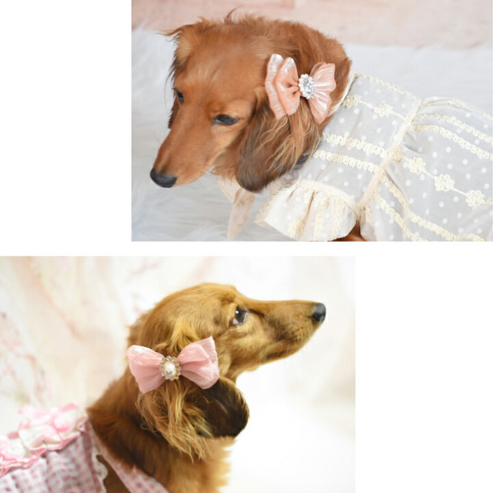 楽天市場 犬 ヘアアクセサリー 大きめ シフォン リボン ヘアピン 髪飾り ハンドメイド トイプードル チワワ ヨークシャテリア Mダックスなどの小型犬 猫 ペット用 Hapi Co