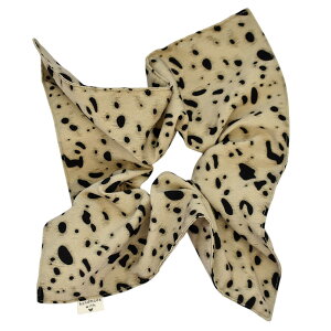 VV XNGA qE ^ 傫 wAS l Vv  wAANZT[ wA|j[ fB[X