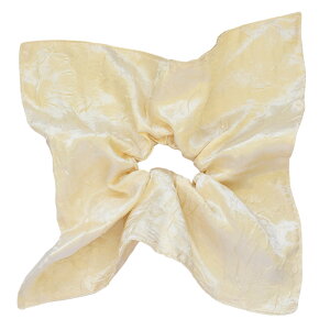 VV XNGA Te G{X 傫 wAS l Vv  wAANZT[ wA|j[ fB[X