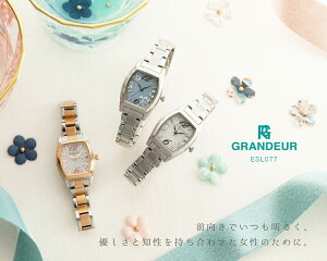 GRANDEUR Oh[ rv fB[X gm[^ \[[EHb` ESL077@ESL077W1 ESL077W2 ESL77T1 v[g 킢   s s SNS {[ug