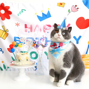  L a o[Xf[ nbg 悾ꂩ 7_Zbg ^yXg[ ybgpX^C ybg a t  aXq LO ʐ^ Be j oi[ HappyBirthday Mtg v[g 