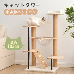 Lbg^[ u ؐ FD   {{t ₷ NA{E  ܂Ƃ{[ LbgnEX  ybgpi