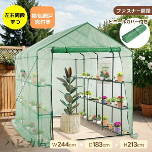 yJo[tzrj[ ^ W244cm×D183cm×H213cm ƒp  ^ E2i x_ ƒp rj[nEX ƒ؉ K[fnEX t[nEX bN rj[ Jo[ gȒP n