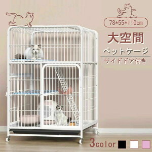 L P[W LbgP[W 3i L݌v Rgݍ킹 g[t LhAt nbNt ^ LQ[W   LbgnEX lR nEX i  ی Eh~ 