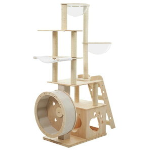 Lbg^[ L^[ Lbgc[ u jOzC[t  FD lR^[ 165.5cm 艺肵₷ ܂Ƃ|[ ؐ  qL ^L ybgpi 