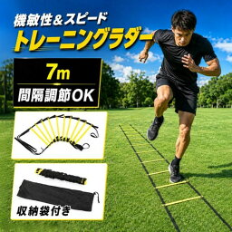 ステップ練習・間隔調節OK トレーニングラダー 7m