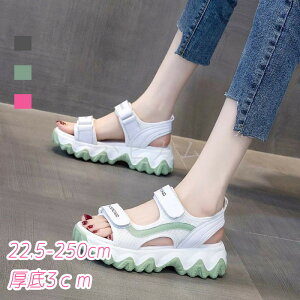 T_ fB[X  xN X|[cT_ X|T   LbY Y eqR[f yAbN jZbNX 傫TCY ₷ ₷   r +3cmg