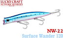 LUCKY CRAFT【ラッキークラフト】NW-Amigo 22 / サーフェスワンダー 120