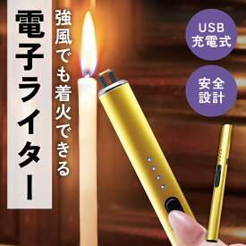 充電式 プラズマライター （ゴールド） ライター USB 充電式 タイプc 電子ライター おすすめ アークライター 点火用 BBQ ローソク 線香 花火 お香 風に強い 仏壇 お墓参り お灸 チャッカマン スリム ポスト投函 送料無料