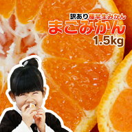予約販売開始庄村さんの愛情で育った最高傑作みかん【大中小混合】柑橘栽培一筋！元気と味に自信！昔懐か…
