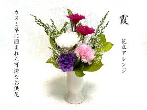 ̓Q@@݁@vU[uht[@ԁ@Ԋt@Dԁ@ԁ@mԁ@JX~\E@d@݁@@~@ފ݁@̓@̓Q@Mtg